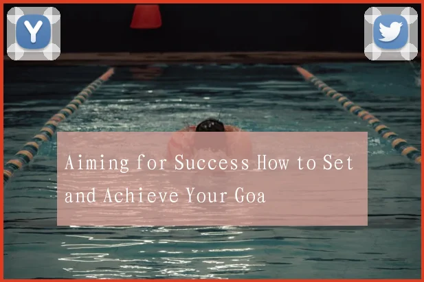 Aiming for Success How to Set and Achieve Your Goa